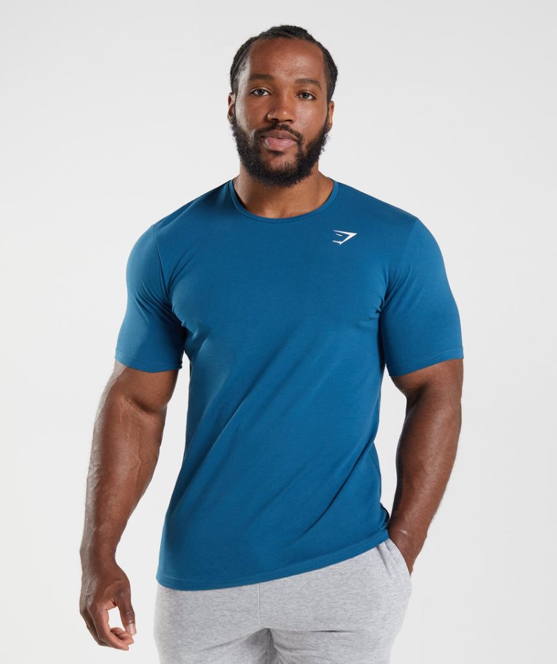 Men\'s Gymshark Essential T-Shirts Blue | NZ 2WOSNL